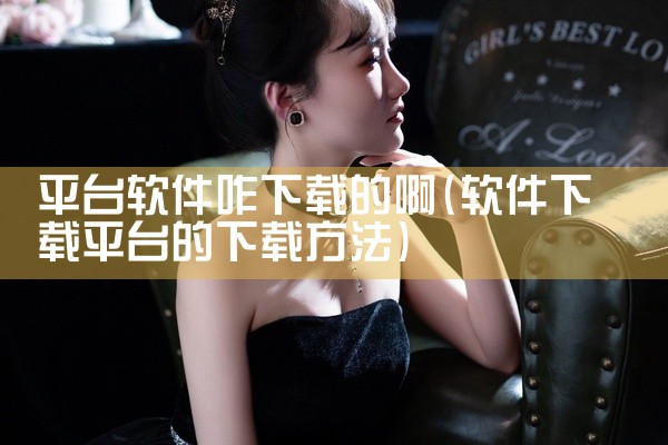 平台软件咋下载的啊